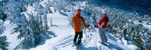 Sponsor Snowcial