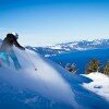 Shredding @ Snowcial